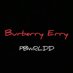 BURBERRY ERRY