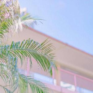 轻松打卡（经典白噪音）