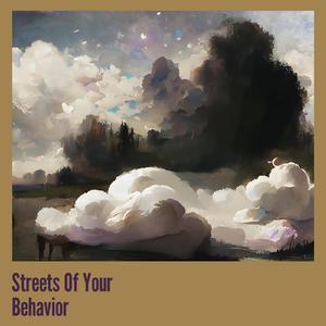 Streets of Your Behavior