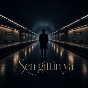 Sen gittin ya