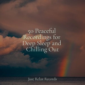 Vinaceous Dreamland Symphony