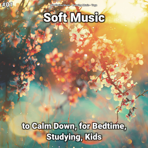 Soft Music, Pt. 42