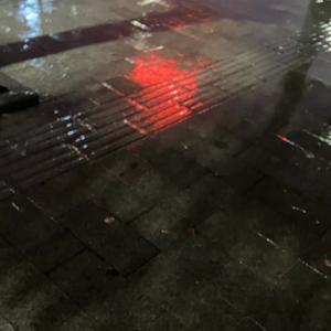 平凡又努力的人