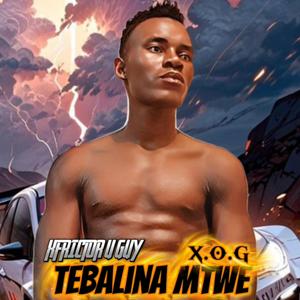 Tebalina mtwe