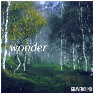 Wonder
