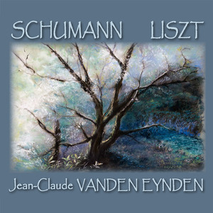 Fantaisie, Op. 17:III. Langsam getragen. Durchweg leise zu halten. - Etwas bewegter. - Nach und nach bewegter und schneller. - Adagio