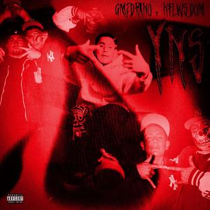 YNS