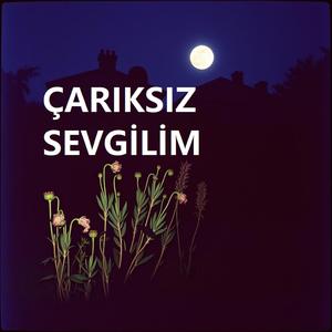 Aklımda sen elimde boş bir hüzün