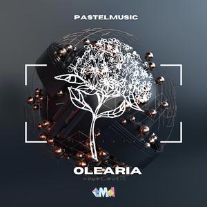 Olearia