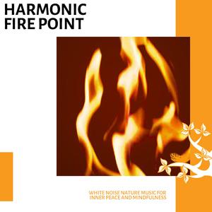 Through the Fire Light