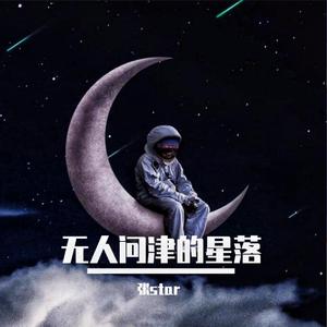 无人问津的星落
