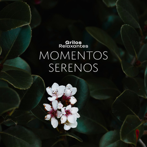 Emotions En