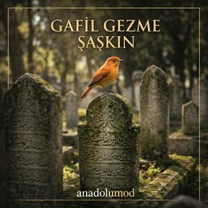 Gafil Gezme Şaşkın // anadolumod
