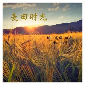 麦田时光