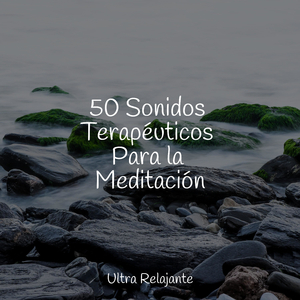 Mañanas Junto Al Mar