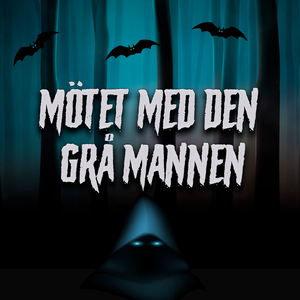 Mötet med den grå mannen, del 14