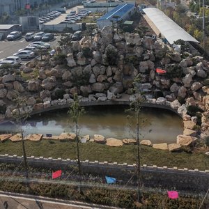 好一朵美丽的茉莉花（广场舞现场版）