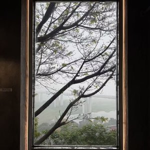 借的春天