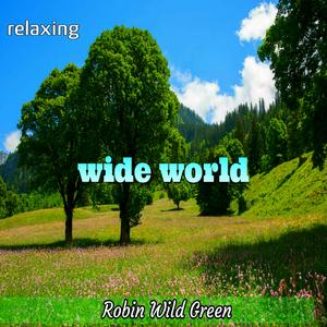 wide world