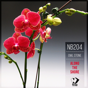 Along the Shore (Original Mix)