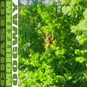 Dummkopf (feat. oogway & chaseo)