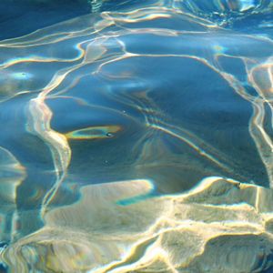 Growing Down(prod.VainlyBoiAslayërr)