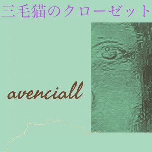 三毛猫のクローゼット