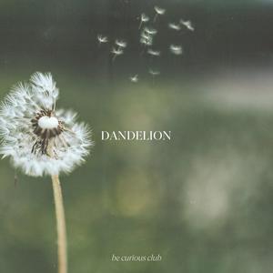 dandelion