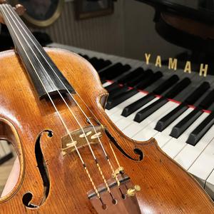 dance for me wallis 小提琴+钢琴