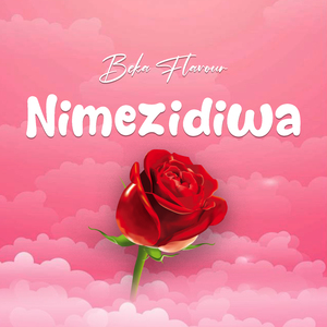 Nimezidiwa