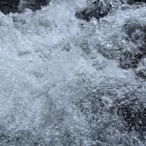 如果忽远忽近的洒脱，是你要的自由.mp3