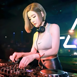 开车专用土嗨DJ