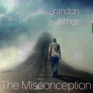 The Misconception (feat. Brandon James)