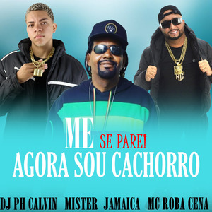 ME SEPAREI AGORA SOU CACHORRO