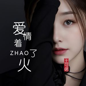 爱情着了火(DJ凤凰版)