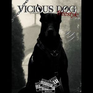 恶犬freestyle（Prod By 9Zi）