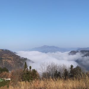 最后的河狸岩