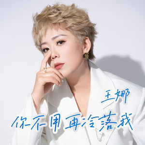 你不用再冷落我 (Dj豪大大版)