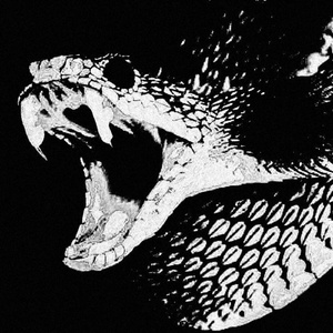 Manipulation (Slowed Down)