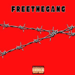 F R E E T H E G A N G