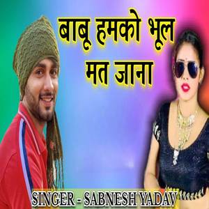 बाबू हमको भूल मत जाना