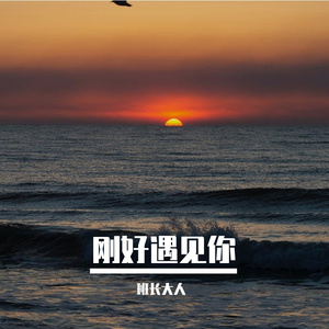 刚好遇见你