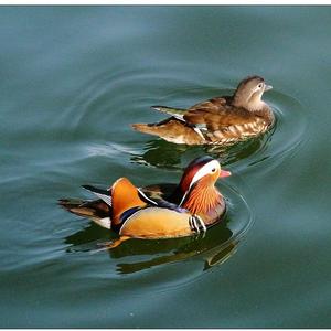 缘分的一点道理 伴奏