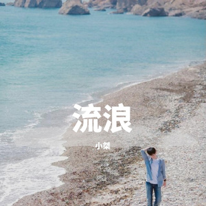 流浪-小桀（翻自卢焱）