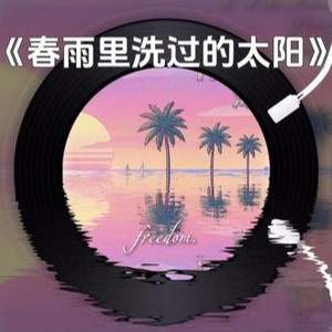 春雨里洗过的太阳 (city pop版)