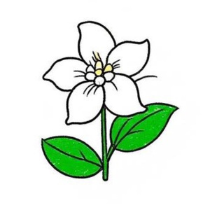 一朵茉莉（Prod.by jeston）