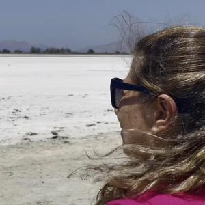 Ποιές Λυγαριές Θυμάσαι