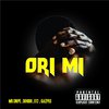 Mr Snipe - Ori Mi