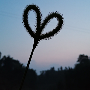 啊(～￣▽￣)～