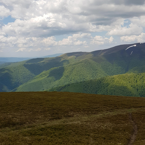 Вирок На Кістках